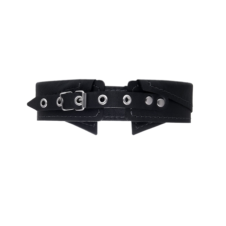 Ошейник-воротник Pecado с поводком